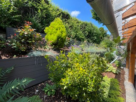 Gau-Bischofsheim, hübsche Gartenwohnung mit herrlicher Terrasse und guter Ausstattung - Photo 3