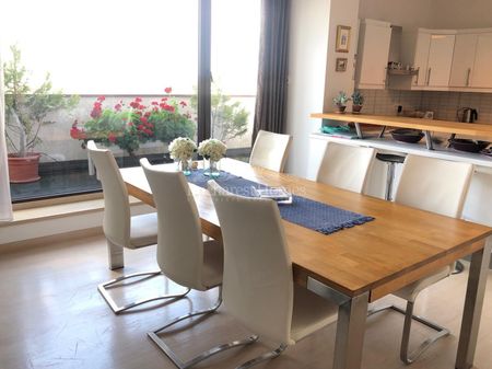 Large Three Bedroom Penthouse with Large Terrace, Herastrau/ Bordei Park and Lakee - Fotografie 5