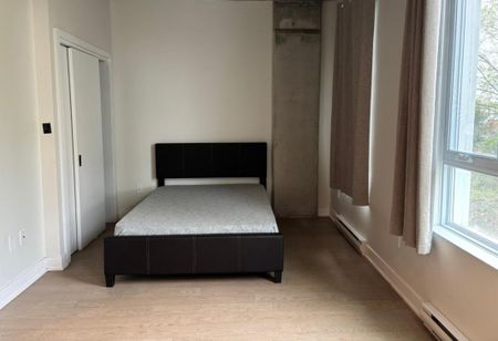 Appartement à louer - Montréal (Mercier/Hochelaga-Maisonneuve) (Hochelaga-Maisonneuve) Appartement à louer - Montréal (Mercier/Hochelaga-Maisonneuve) (Hochelaga-Maisonneuve) - Photo 3