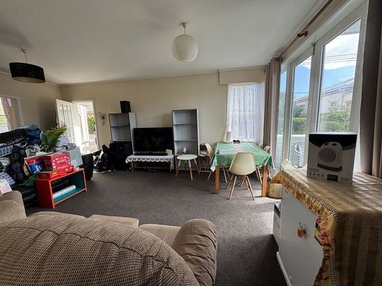 Large Sunny 2 bedroom apartment in Mt Vic - Photo 1