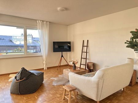 Furnished Private Apartment in Thalwil (limited till 31.03.2027) - Photo 4