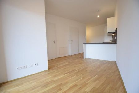 Straßgang – 43m² inkl. Loggia – 2 Zimmer – ab 01.05.2025 - Photo 3