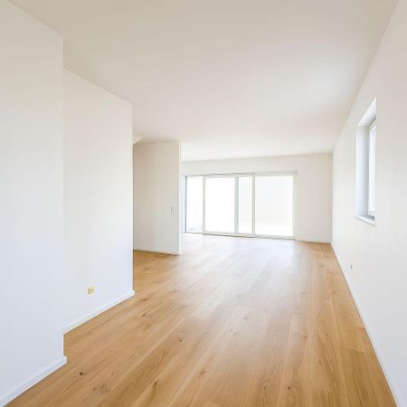 PROVISIONSFREI! Charmante Doppelhaushälften in komplett neuer Wohnsiedlung zur Miete - Photo 2