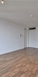 Paulus Potterstraat - Foto 3