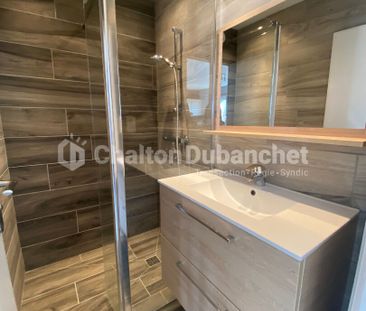 Location Appartement 3 pièces 47m² - Photo 4
