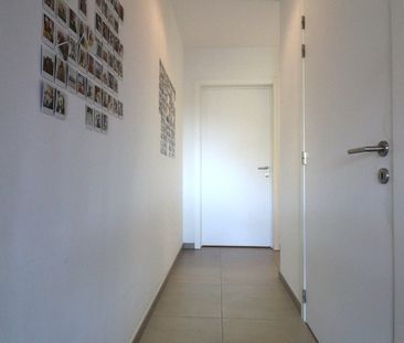 Appartement te huur in Elversele - Photo 4