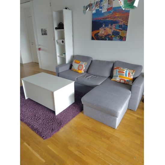 4½ Zimmer-Wohnung in Bern - Felsenau/Tiefenau, möbliert, auf Zeit - Photo 1
