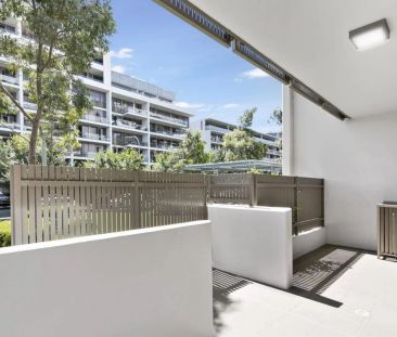 Spacious and Homey One Bedroom with Courtyard - Photo 2