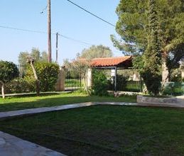 Μονοκατοικία για ενοικίαση - Παλαιά Φώκαια, - Photo 6
