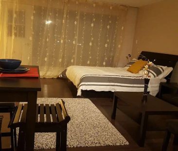 Furnished bachelor apartment — 0 Bedrooms Condo Unit - Photo 1