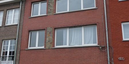 Appartement te huur in Dilbeek voor € 780 met 1 slaapkamer - Photo 3