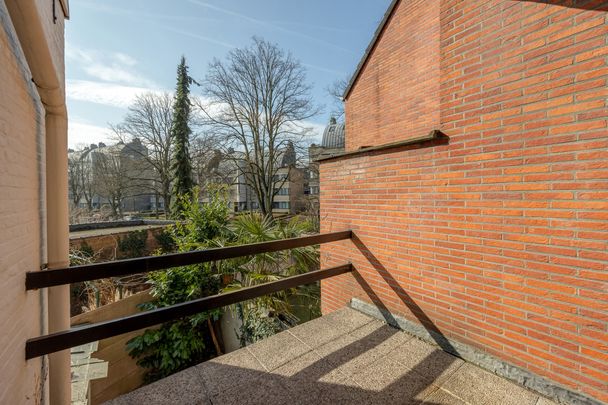 Gerenoveerd appartement met zonnig terras - Foto 1