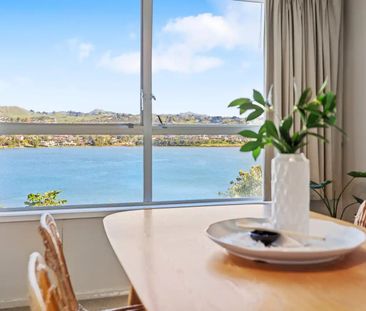 17 Te Hono Street, Maungatapu - Photo 5