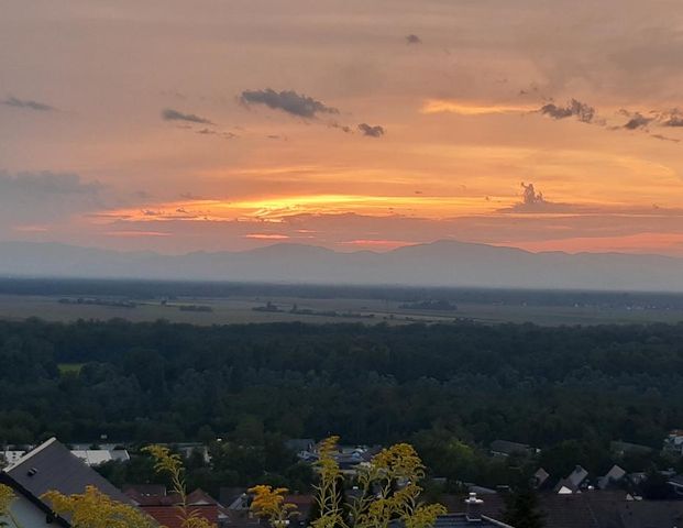 Moderne Gartenwohnung 48 m2 mit weitem Ausblick in Bad Bellingen - Foto 1
