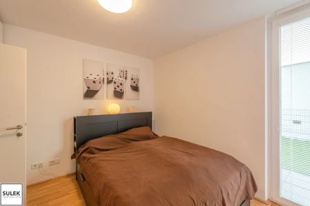 ab 1.3.2026 – 2 Zimmer Neubauwohnung mit westseitiger Terrasse + Garten !!! - Foto 5