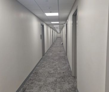 1100 Lackner Place #424 - Photo 3