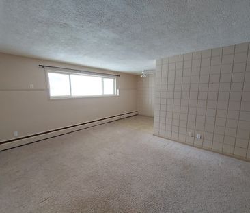 2 Bedroom Suite in Eastview - Photo 5