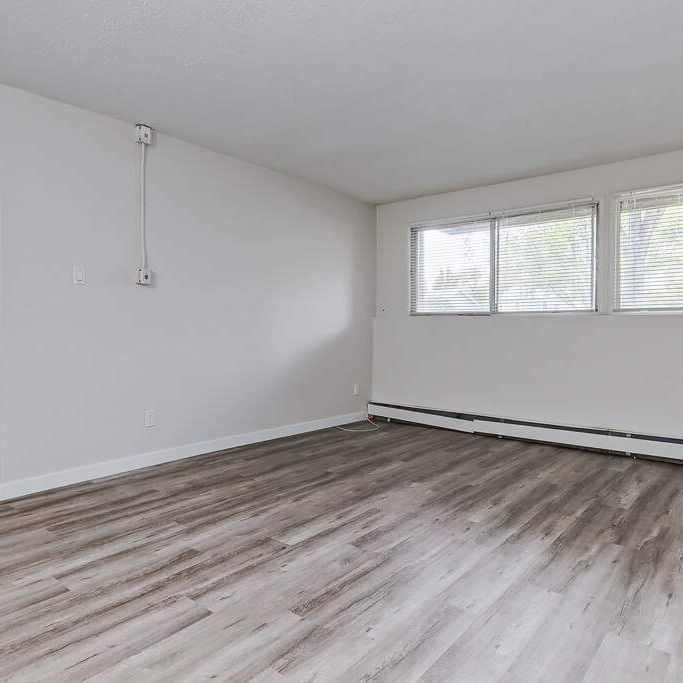 Renovated Suite - 1 Bedroom - Photo 1