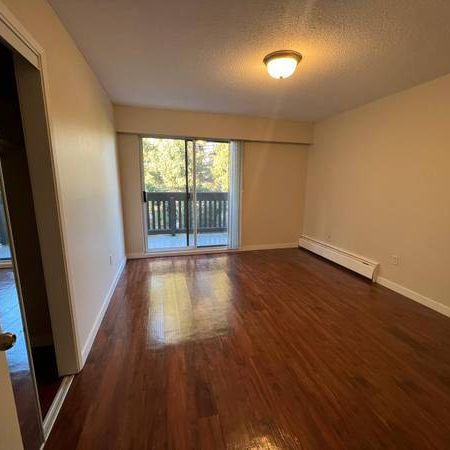 NEW WESTMINSTER 3 BEDROOM 1.5 BATHROOM available on February 1st - Photo 1