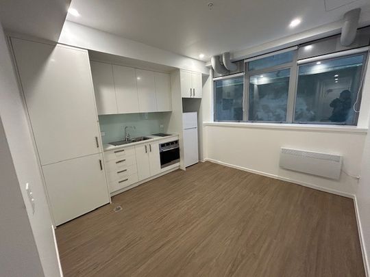 BRAND NEW STUDIO APARTMENT IN CENTRAL WELLINGTON - Photo 1