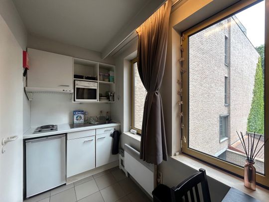 Studio Residentie Het Park - Vlamingenstraat - Photo 1