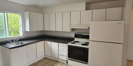 21 Rue Courchesne (Hull) Logement 2 Chambres Au Pleins Coeur De Hull! - Photo 3