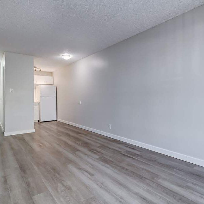 Renovated Suite - 1 Bedroom - Photo 1