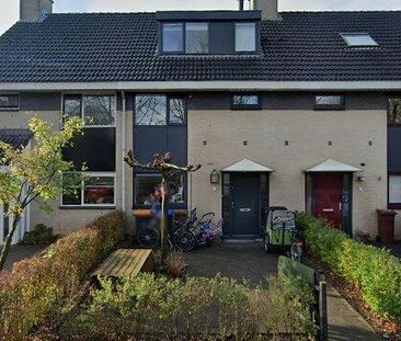 House Breukelen - Vrouwenmantel - Foto 1