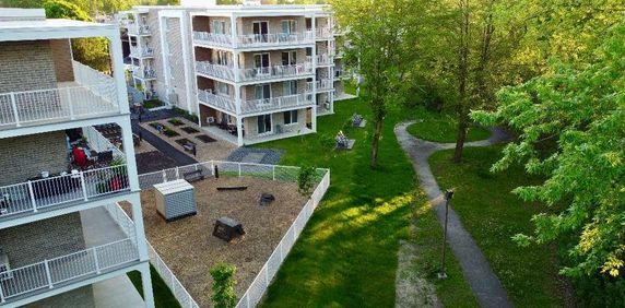 3 ½ à louer animaux autorisés! - Photo 2