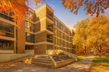 Appartement à louer, Montréal (Verdun/Île-des-Soeurs) - Photo 5