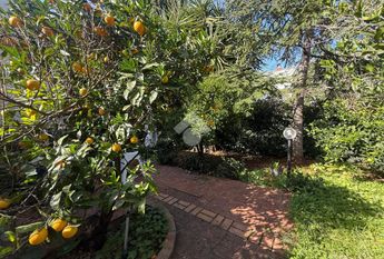 Villa singola in affitto