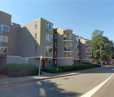 Chambre à Sibeliuslaan 65, Eindhoven - 44 m2 - Foto 3