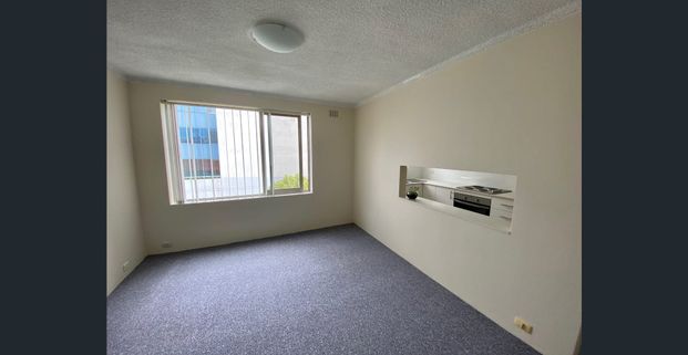 RENOVATED ONE BEDROOM UNIT - Photo 1