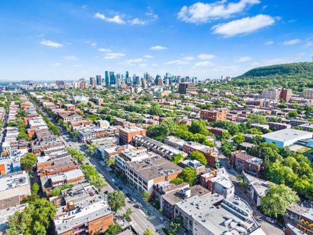 4614 Rue St Denis, Montréal (Le Plateau-Mont-Royal), QC H2J - Photo 2