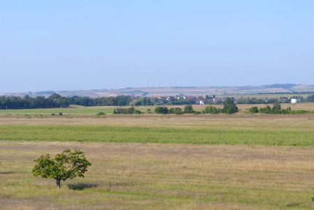 Eine helle Wohnung im Grünen! - Photo 5