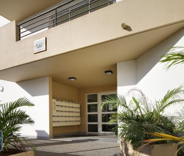 Location Appartement 2 pièces 35m² STE CLOTILDE 97490 - Photo 1