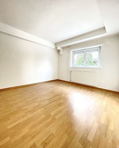 Bijou am Zürichberg, moderne Wohnung mit Gartensitzplatz - Photo 2