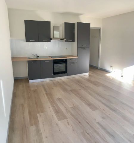 Location Appartement 1 pièce 26m² NARBONNE 11100 - Photo 2