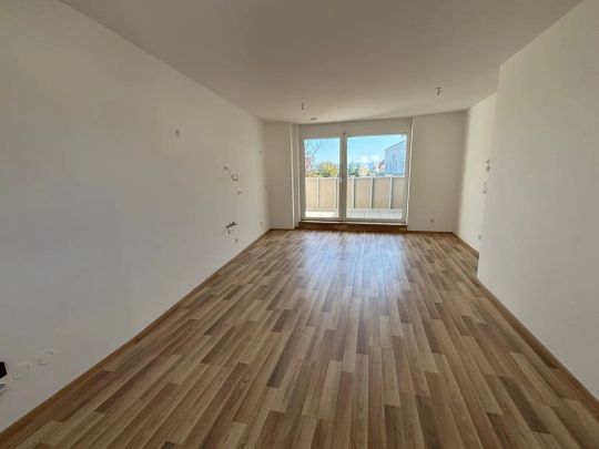 Geförderte Genossenschaftswohnungen in Oed bei Amstetten - Miete mit Kaufoption INDIVIDUELLE FINANZIERUNG - Photo 1