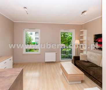 Piła, Zamość - Zdjęcie 5