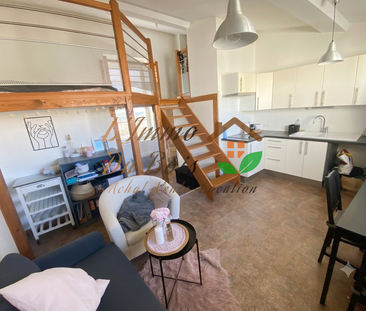Location Appartement 1 pièce 23m² VIENNE 38200 - Photo 2