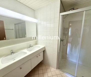 Maison familiale avec jardin à Bellevue - Photo 6