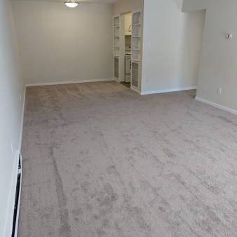 Renovated1 bedroom apartment in Kerrisdale - Photo 3