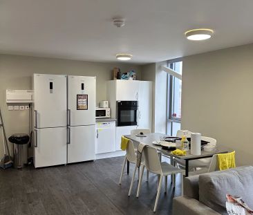 Deluxe Studio - Photo 6