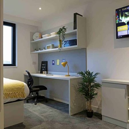 True Premium Studio with City Views - Photo 3