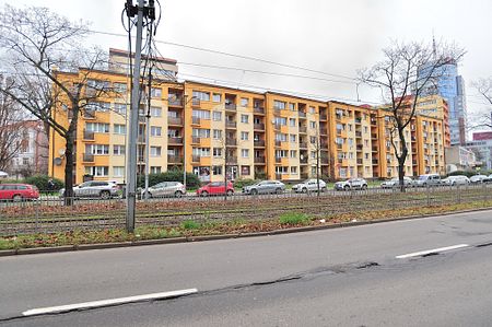 mieszkanie na wynajem Szczecin Centrum - Zdjęcie 5