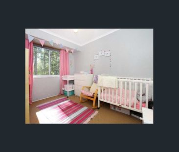 Peaceful Hinterland Living - Photo 3