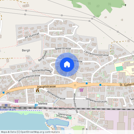 Sennhüttenstrasse 51, 8716 Schmerikon