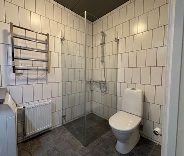 Storseglet, Vega - Foto 4