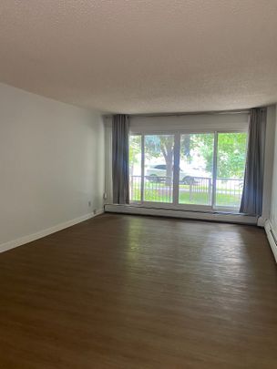 Spacious One Bedroom Apartment in Beautiful Sunnyside - Photo 1